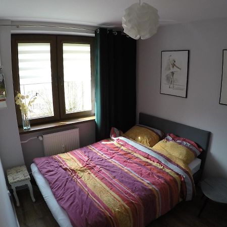 Apartament Bieszczady Apartment Устшики Долне Екстериор снимка